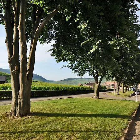 La Maison Jaune Ammerschwihr