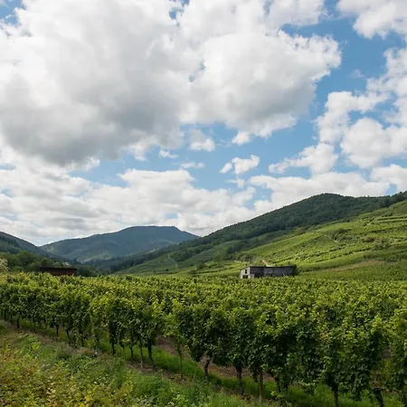 La Maison Jaune Apartament *