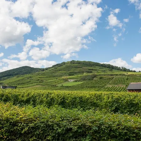 La Maison Jaune Apartament